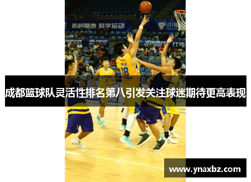 成都篮球队灵活性排名第八引发关注球迷期待更高表现