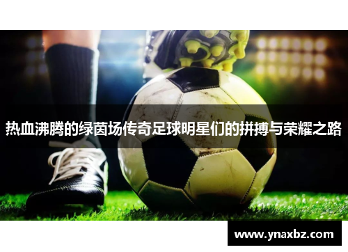 热血沸腾的绿茵场传奇足球明星们的拼搏与荣耀之路