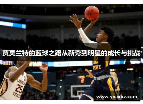 贾莫兰特的篮球之路从新秀到明星的成长与挑战